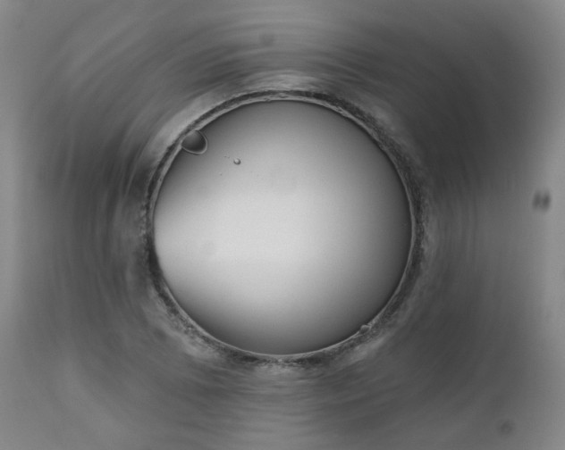 X0000110961073200906191306