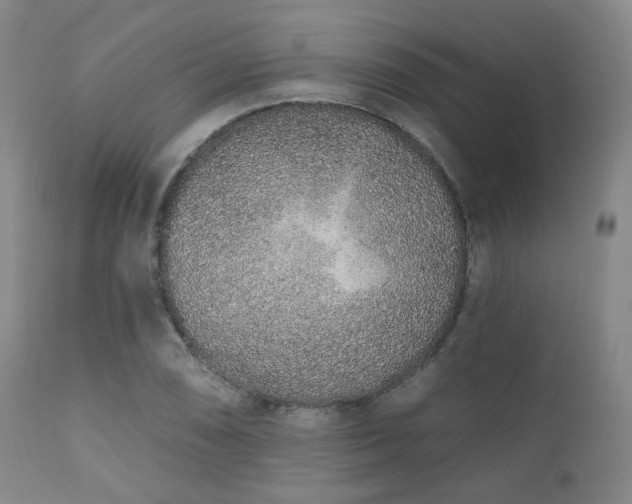 X0000110961074200906191306