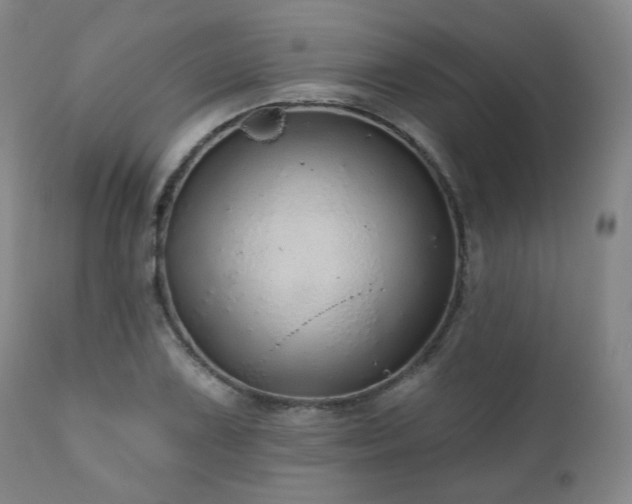 X0000110961075200906191306