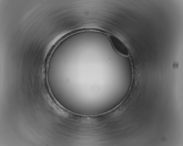 X0000110961076200906191306