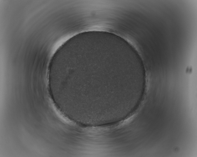 X0000110961077200906191306