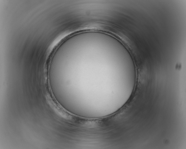 X0000110961078200906191306