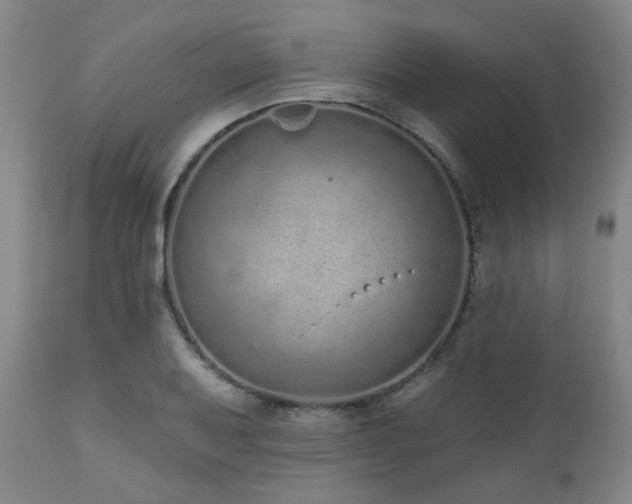 X0000110961079200906191306