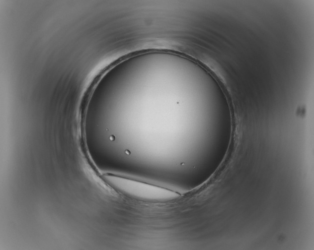 X0000110961080200906191306