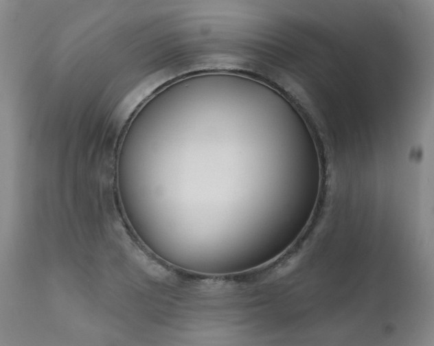 X0000110961081200906191306