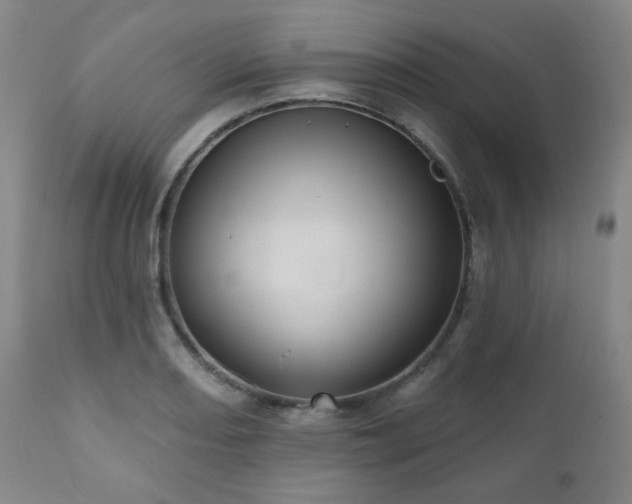 X0000110961082200906191306