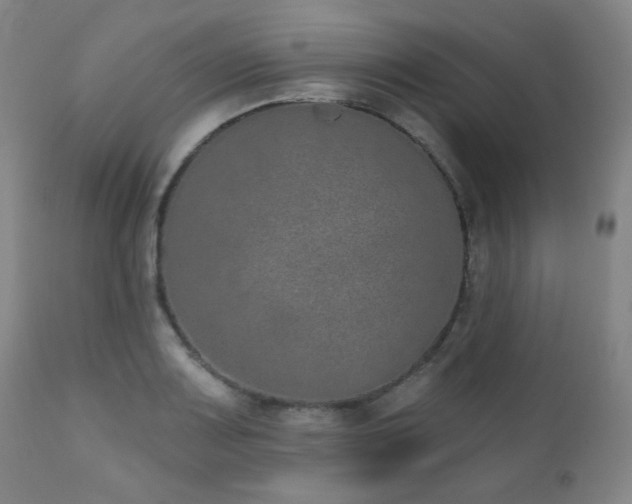 X0000110961083200906191306