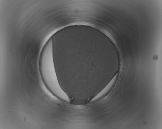 X0000110961084200906191306