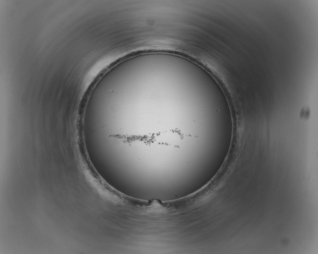 X0000110961085200906191306
