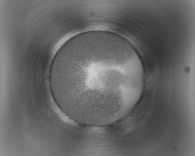 X0000110961086200906191306
