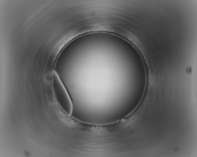 X0000110961089200906191306