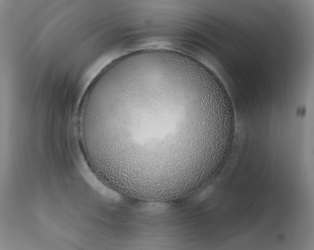 X0000110961090200906191306