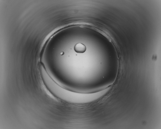 X0000110961092200906191306