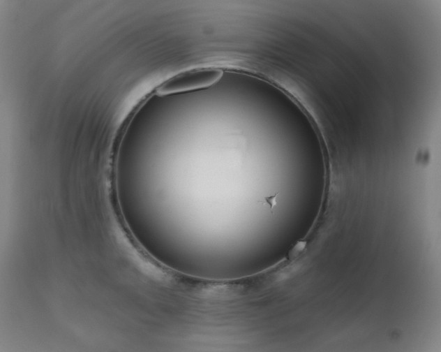 X0000110961093200906191306
