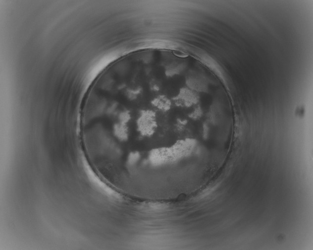 X0000110961095200906191306