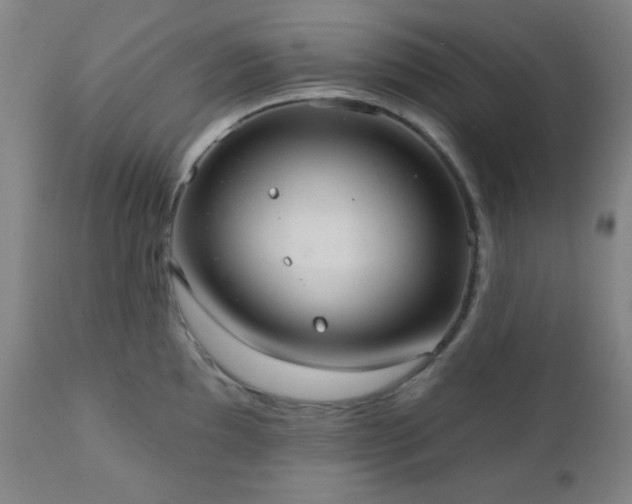 X0000110961097200906191306