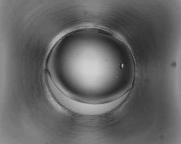 X0000110961098200906191306
