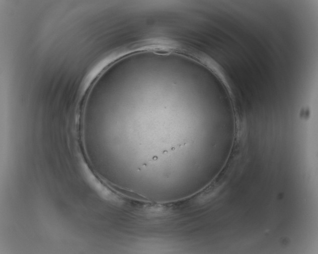 X0000110961099200906191306
