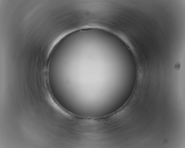 X0000110961100200906191306
