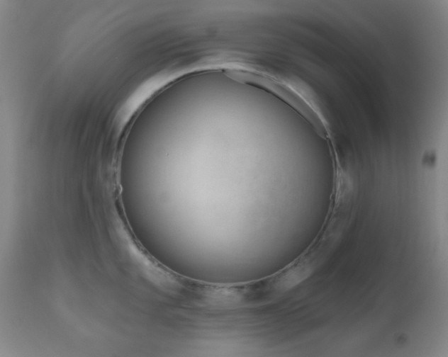 X0000110961101200906191306