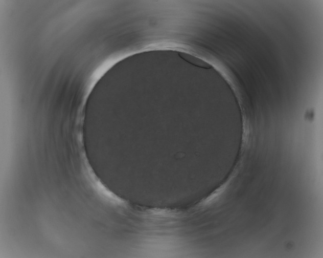 X0000110961102200906191306