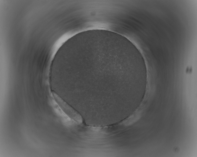 X0000110961104200906191306