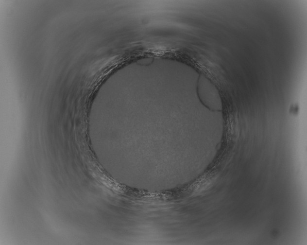 X0000110961105200906191305