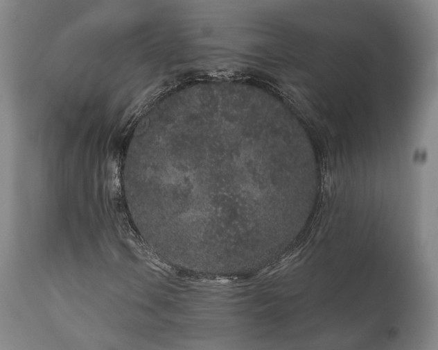 X0000110961106200906191305