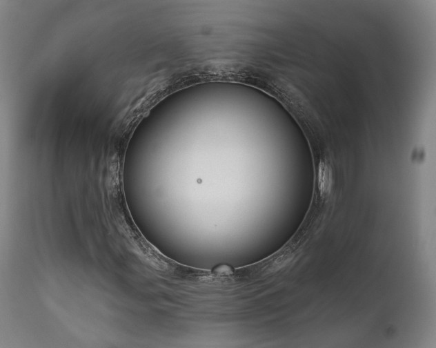 X0000110961107200906191305