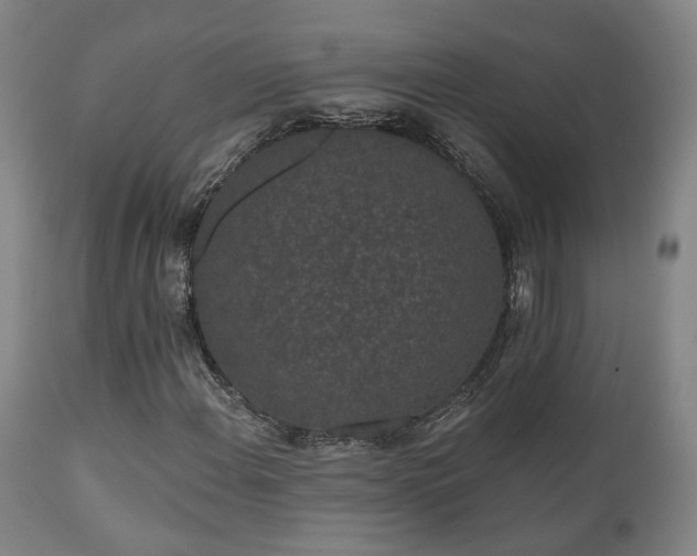 X0000110961108200906191305