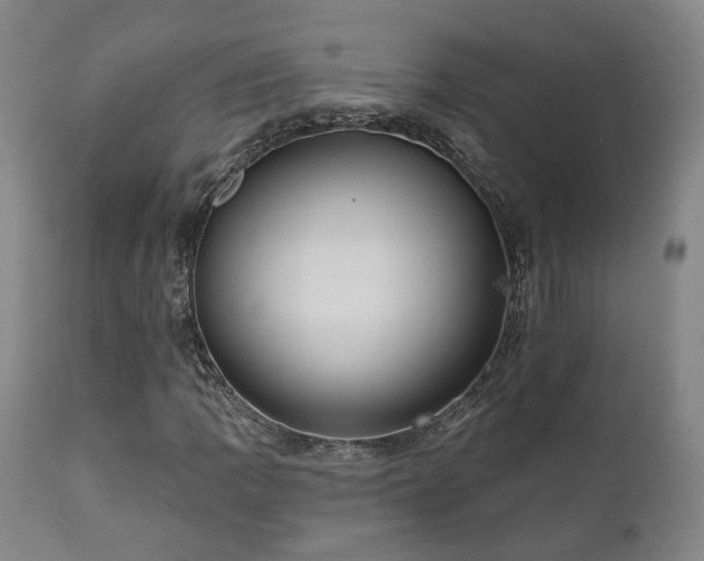 X0000110961109200906191305