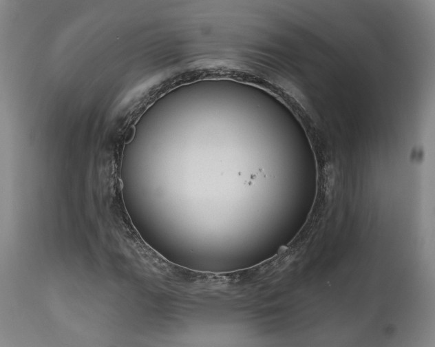 X0000110961111200906191305