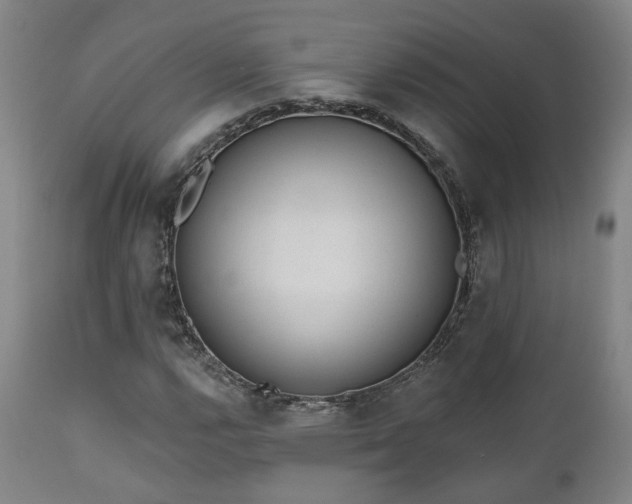 X0000110961112200906191305