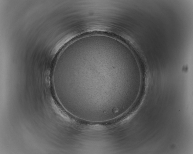X0000110961113200906191305