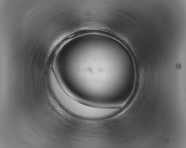 X0000110961114200906191305