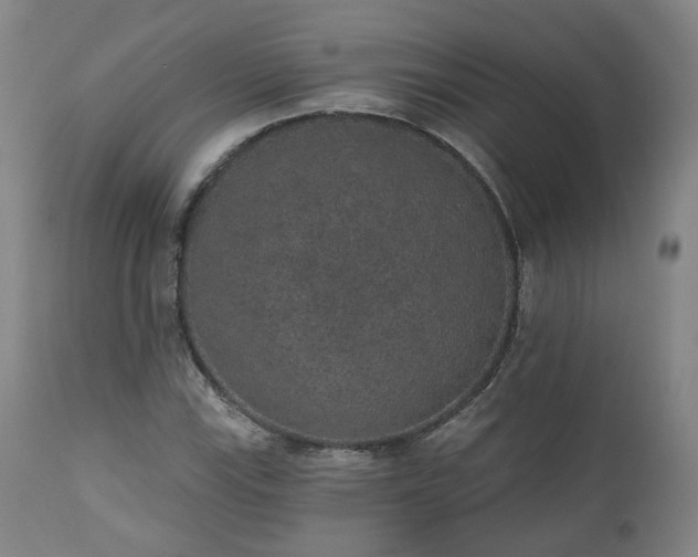 X0000110961115200906191305