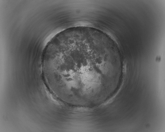 X0000110961117200906191305