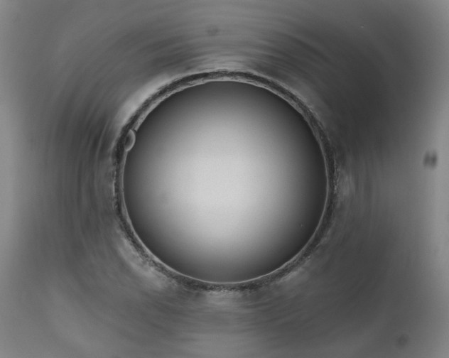 X0000110961118200906191305