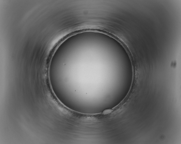 X0000110961119200906191305