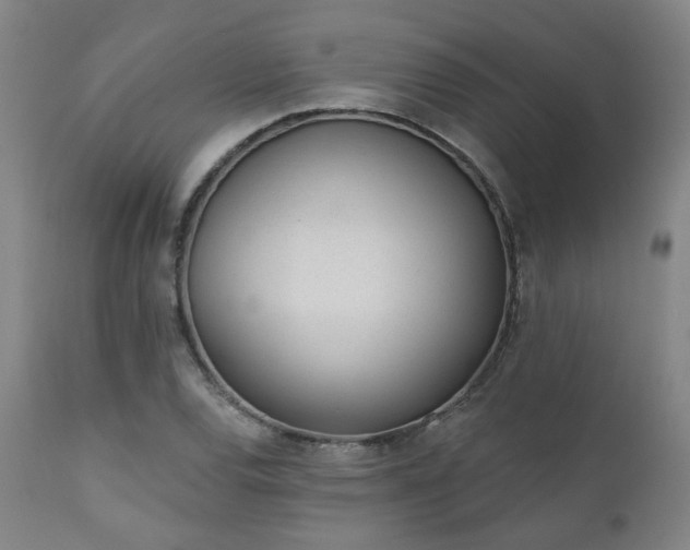 X0000110961120200906191306