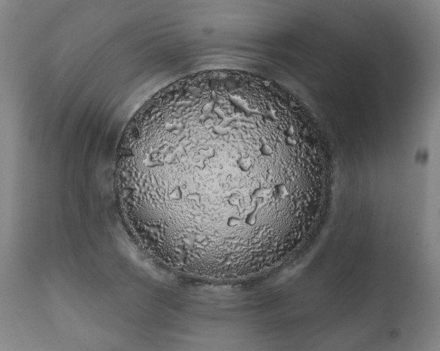 X0000110961121200906191306