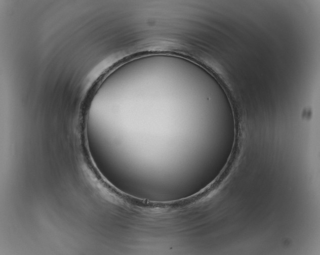 X0000110961122200906191306