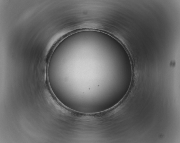 X0000110961123200906191306
