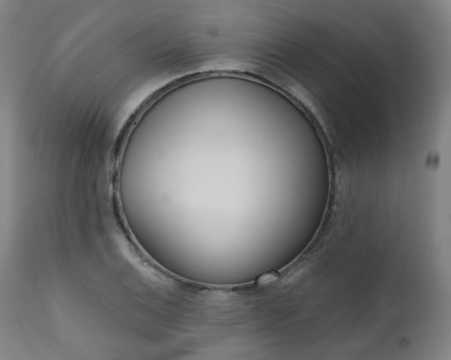 X0000110961124200906191306
