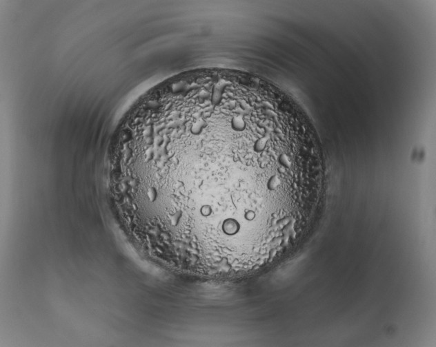 X0000110961125200906191306