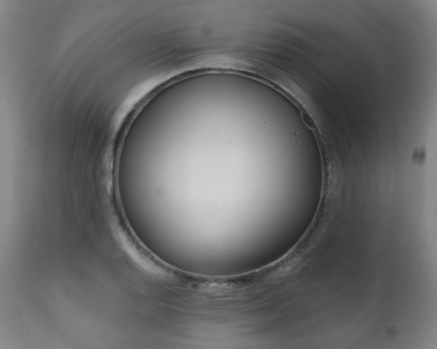 X0000110961128200906191306