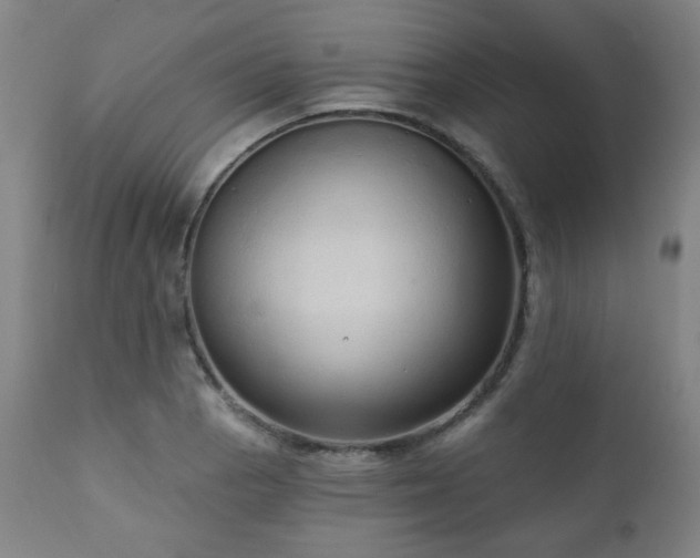 X0000110961129200906191306