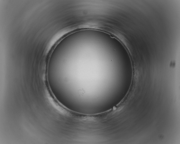 X0000110961131200906191306