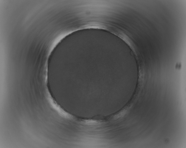 X0000110961132200906191306