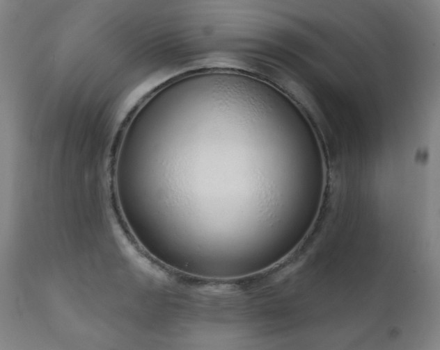 X0000110961133200906191306